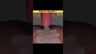 What is Uvula shorts viral factuneofficial [upl. by Quint]