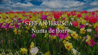 Stefan Hrusca  Nunta de flori versuri lyrics karaoke [upl. by Glynnis770]