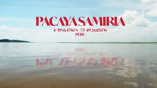 Pacaya Samiria  Exploring the Peruvian Amazon [upl. by Durware]