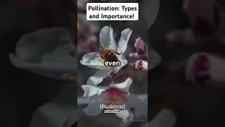 Pollination 101 Types and Importance trendingvideos plantbiotechnology [upl. by Mccafferty]