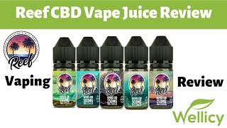 Reef CBD Vape Juice Review  Broad Spectrum CBD [upl. by Neff]