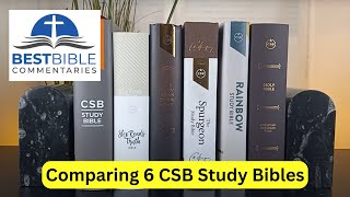 Comparing 6 CSB Study Bibles Rainbow Spurgeon She Reads Truth More [upl. by Essiralc]