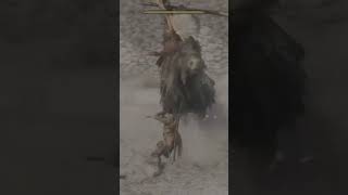 Kill gyoubu oniwa with parry only clip sekiro sekirogameplay sekiroshadowsdietwice [upl. by Lauter]