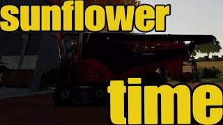 Sunflower harvest farming simulator 22 [upl. by Alleroif]