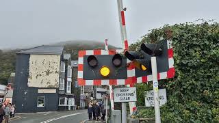 Barrier Tests Barmouth South Level Crossing Gwynedd 28102024 [upl. by Ofori]