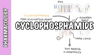 Cyclophosphamide  pharmacology mechanism of action adverse effects [upl. by Sardse]