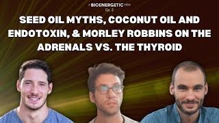 BV 2 Morley Robbins on the Adrenals vs Thyroid Seed Oil Myths and Coconut Oil amp Endotoxin [upl. by Oidale]