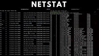 Netstat Commands  Network Administration Tutorial [upl. by Noyrb]