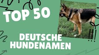 Deutsche Hundenamen  TOP 50 Liste [upl. by Anirres]