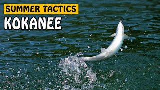 SUMMER KOKANEE SALMON TACTICS  Fishing with Rod [upl. by Ellevel213]