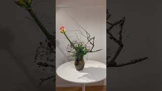 Sogetsu Ikebana Dry Branch Arrangement ikebana sogetsu floraldesign [upl. by Alra]