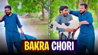 BaKra ChoRi Wait For End 😂😂 [upl. by Rebmyk]