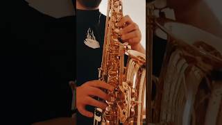 Andrei David  Am trecut de cea fost greu shortsvideo goodmusic andreidavid selmersax sax [upl. by Kurtz983]