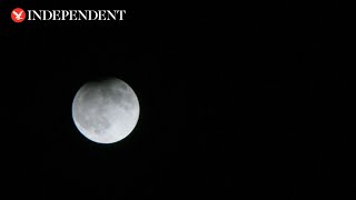 Watch again Harvest supermoon partial eclipse over Caracas [upl. by Yv]