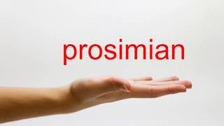 How to Pronounce prosimian  American English [upl. by Ardnikal]