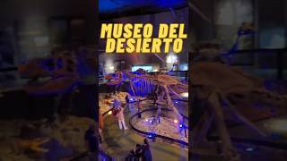 Museo del desierto 🌵  Saltillo Coahuila viralvideo [upl. by Arraes410]