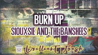 Siouxsie and The Banshees  BurnUp karaoke [upl. by Ttevy548]