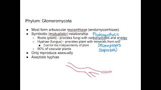 Fungi  Glomeromycota and Chytridiomycota [upl. by Dnob]