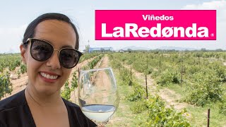 Conoce este lugar en Querétaro  Viñedos La Redonda  Mariana Quevedo Vlogs [upl. by Assen]