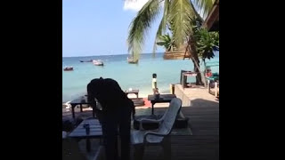 Koh Tao Thailand Wind Beach Resort Best resort on the water Restaurant [upl. by Ikilisav]