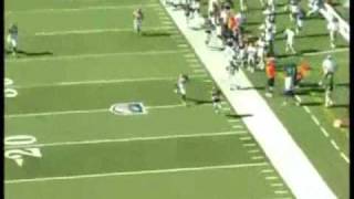 Brandon Stokely Amazing Play Broncos vs Bengals [upl. by Inamik]