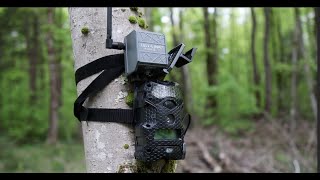 SpyPoint Cell Link Trail Camera Setup 2024 Season E1 [upl. by Sewel]