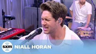 Niall Horan — Heaven Live  SiriusXM [upl. by Nnaynaffit]