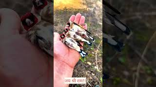 Sanatan💙🚩 Mantra ki tagat love jay dharmik jayshriram mantra krishna bhakti god kanha ram [upl. by Ayk554]