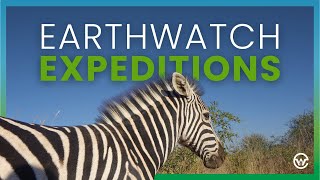 Earthwatch Expeditions Travel with Purpose [upl. by Atse]