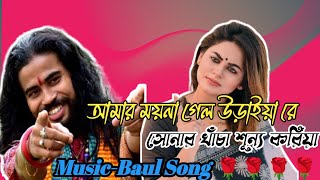 আমার ময়না গেল উড়াইয়া রেAmar maina Uraya re সোনার খাঁচা শূন্য কোরিয়া। Somvu Baul😭😭😭😭। [upl. by Vinni]