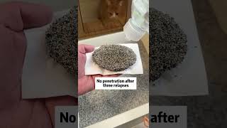 Mineral cat litter test Bentonite cat litter China supplier Bentonite cat litter price catlitter [upl. by Neyud]