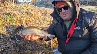 January 2024 Calendar Entry  Part 1 of 2  Compilation Video  Grayling amp Sea fishing in Scotland [upl. by Balough]