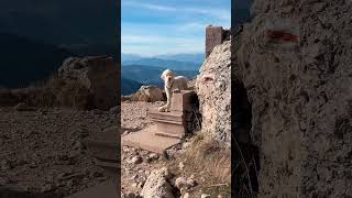 DexTours im Rosengarten Auf 4 Pfoten Entdeckungsreise in den Dolomiten rosengarten eggental [upl. by Karney]