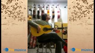 Guitarra RAIMUNDO 145 FLAMENCA [upl. by Boys]