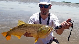 Pesca de Dorados  BaitCasting 『De Todo un Poco』 [upl. by Enimassej]