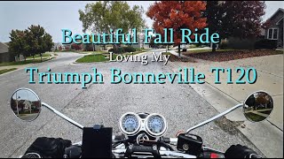 Bonneville T120  Epic Fall Ride [upl. by Freemon]