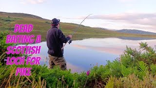 Scottish Highlands Pike fishing  Pike fishing UK [upl. by Acisej]