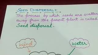 What is Seed Dispersal  Type of Dispersal class 5 Science  CBSE [upl. by Levy742]