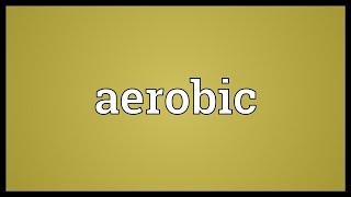 Aerobic Meaning [upl. by Eceinhoj]