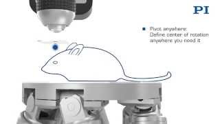 PI Neuroscience Microscopy [upl. by Taimi]