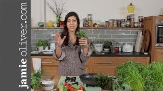 Basic Herbs Masterclass with Georgie [upl. by Vaenfila]