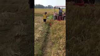 wheat 🌾harvesting machinery mahindratractors mahindra viralshort attitude explore sonumalik [upl. by Goddart]