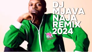 DJ MJAVA NAJA REMIX [upl. by Ayoj124]