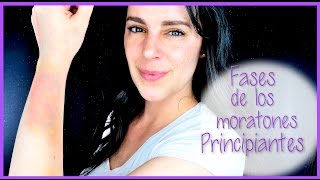 Tutorial fases de los moratones principiantes 154  Silvia Quiros [upl. by Nairrot572]