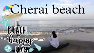 Cherai beach Beach resort Ernakulam Kerala [upl. by Luehrmann216]