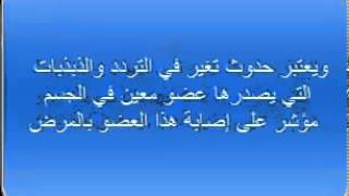 برج الكلب الصينى1911، 1923، 1935، 1947، 1959، 1971، 1983، 1995، 2007، 2019 [upl. by Klute]