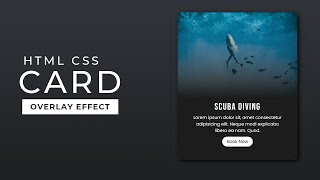 Responsive CSS Cards with Hover Overlay Animation [upl. by Oisorbma]