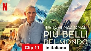 I parchi nazionali più belli del mondo Stagione 1 Clip 11  Trailer in italiano  Netflix [upl. by Bellew67]