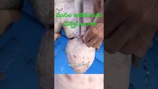 pets doglover youtubeviral love telugushorts telugucomedy srikakulam vishakapatnam china [upl. by Chara]