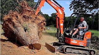 Mini Excavator vs Massive Stumps  Kubota U35 [upl. by Freyah]